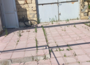 Satılır 3 sot torpaq Rəsulzadə