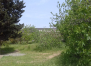 Satılır 1 otaqlı 6.3 m2 bağ evi Maştağa