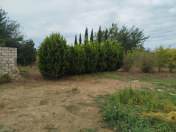 Satılır 6 sot torpaq Albalı