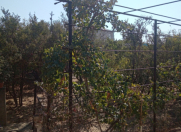 Satılır 7.5 sot torpaq Lökbatan