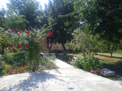 Satılır 6 sot torpaq Qəbələ