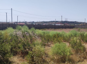 Satılır 10 sot torpaq Dübəndi bağları