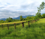 Satılır 1.14 sot torpaq Qəbələ