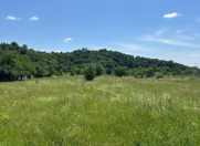 Satılır 70 sot torpaq Qəbələ