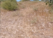 Satılır 12 sot torpaq Nardaran