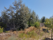 Satılır 10 sot torpaq Sumqayıt