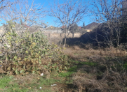 Satılır 6 sot torpaq Ağcabədi