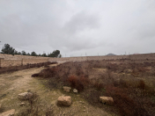 Satılır 12 sot torpaq Şüvəlan