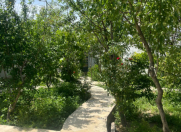 Satılır 20 sot torpaq Bilgəh