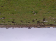 Satılır 10 sot torpaq Türkan