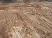 Satılır 10 sot torpaq Pirşağı