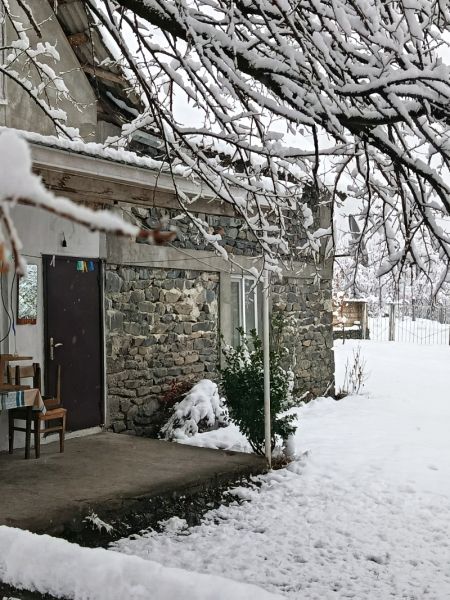 İcarəyə verilir 2 otaqlı 50 m2 həyət evi Zaqatala