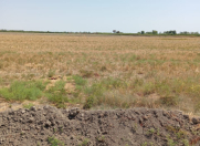 Satılır 3051 sot torpaq Kürdəmir