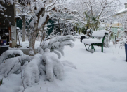 İcarəyə verilir 3 otaqlı 65 m2 həyət evi Qusar