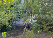 Satılır 6 otaqlı 130 m2 villa Qəbələ