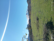 Satılır 10 sot torpaq Quba