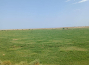 Satılır 100000 sot torpaq Xızı