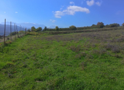 Satılır 36 sot torpaq Quba