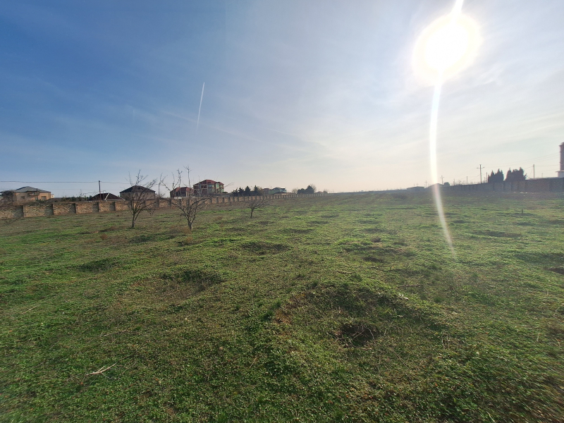 Satılır 200 sot torpaq Binə