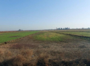 Satılır 2000 sot torpaq Salyan