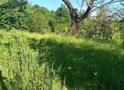 Satılır 22 sot torpaq İsmayıllı