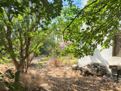 Satılır 6.2 sot torpaq Novxanı