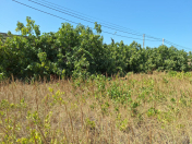 Satılır 34 sot torpaq Novxanı