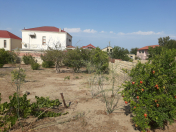 Satılır 10 sot torpaq Novxanı