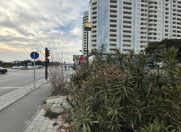 Satılır 4 otaqlı 200 m2 yeni tikili Ağ şəhər