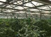 Satılır 7 otaqlı 3000 m2 obyekt Türkan