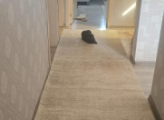 Satılır 3 otaqlı 55 m2 həyət evi Masazır