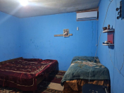 İcarəyə verilir 1 otaqlı 50 m2 həyət evi Zığ