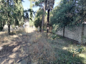 Satılır 15 otaqlı 1031.9 m2 obyekt Tovuz