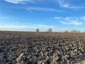 Satılır 21500 sot torpaq Salyan