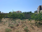 Satılır 7 sot torpaq Novxanı