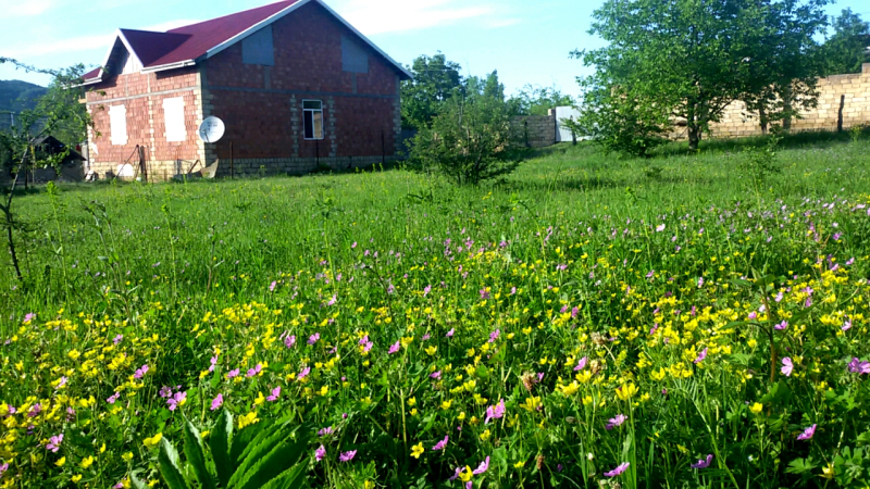 Satılır 12 sot torpaq Quba