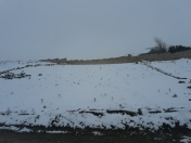 Satılır 8 sot torpaq Qobu