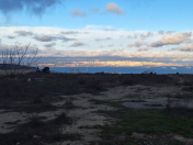 Satılır 55 sot torpaq Badamdar