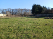 Satılır 74 sot torpaq Masallı