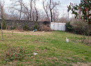 Satılır 14 sot torpaq Zaqatala