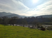 Satılır 49 sot torpaq Lənkəran