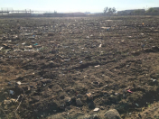 Satılır 12 sot torpaq Pirşağı