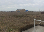 Satılır 24 sot torpaq Asan Xidmət-1