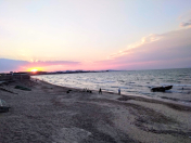 Satılır 500 sot torpaq Xızı