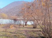 Satılır 5 sot torpaq Qəbələ