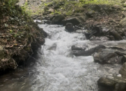 Satılır 63 sot torpaq Qəbələ