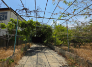 Satılır 11 otaqlı 3400 m2 bağ evi Novxanı