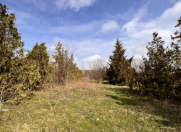 Satılır 10 sot torpaq Quba