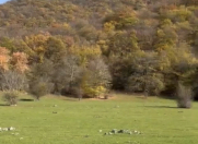 Satılır 200 sot torpaq Oğuz