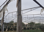 Satılır 3 otaqlı 15 m2 obyekt İmişli